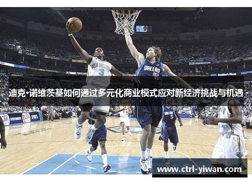 迪克·诺维茨基如何通过多元化商业模式应对新经济挑战与机遇